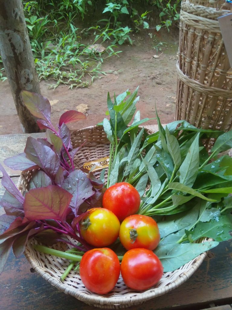 organic product